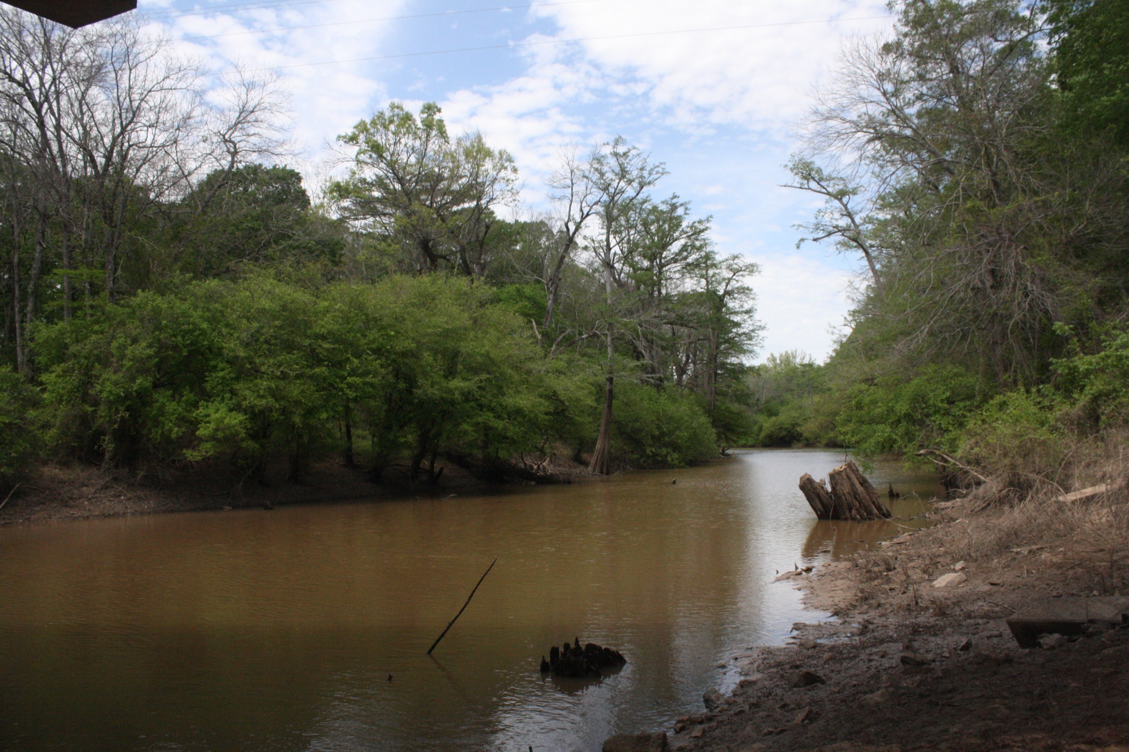Bayou Bartholomew curving through forest near the US 82 access in Ashley County